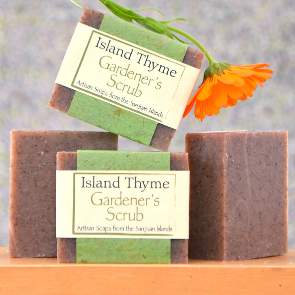 How To Make Scented Pinecones: A Step-by-Step Guide – Island Thyme Soap  Company